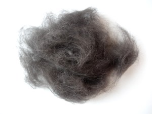 Entdeckung der Woche: Hundehaar filzen