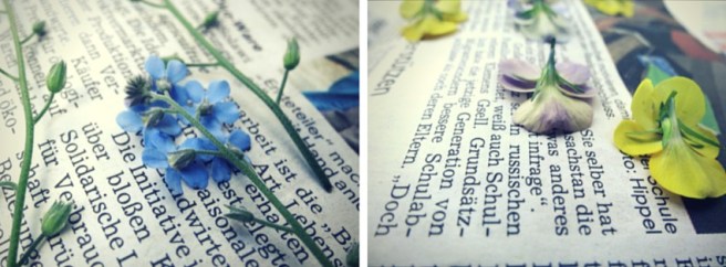 Anleitung: Sandbastelkarten mit getrockneten Blumen