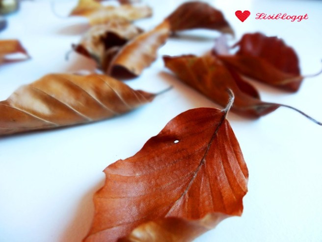 Anleitung: Herbstlicher Traumfänger