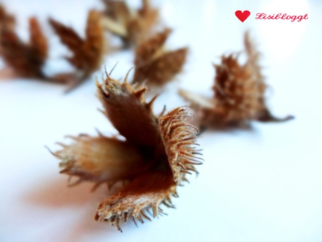 Anleitung: Herbstlicher Traumfänger