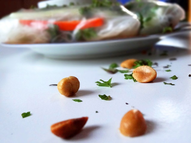 vegane sommer rollen mit erdnuss sauce 2