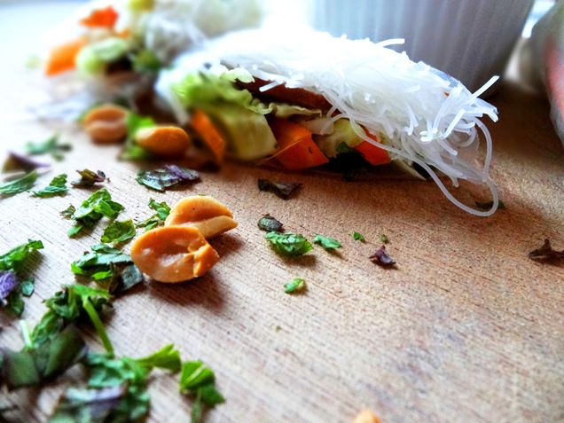 vegane sommer rollen mit erdnuss sauce 3