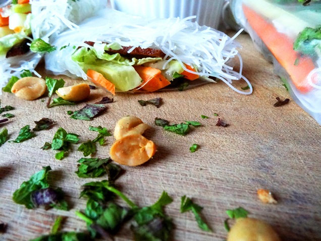 vegane sommer rollen mit erdnuss sauce 7