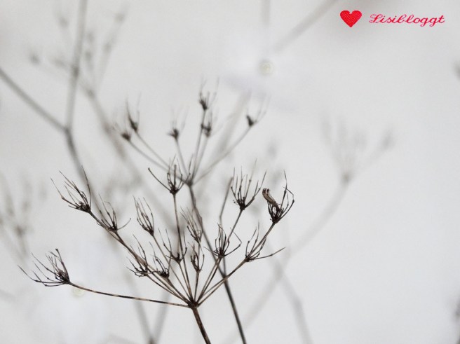 Anleitung: DIY-Kirschblüten aus Servietten basteln