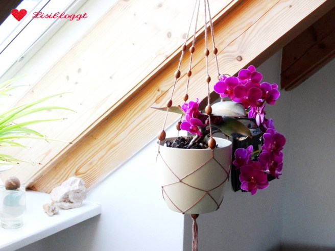Anleitung: DIY Makramee-Blumenampel