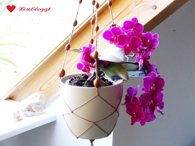 Anleitung: DIY Makramee-Blumenampel