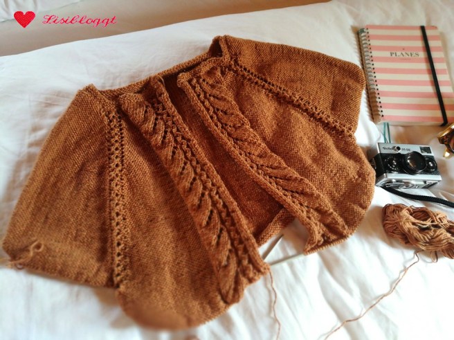 Entdeckung der Woche: Strickjacke von Rosa P.